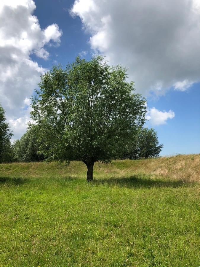 B&B De Tol Hulst Exterior foto