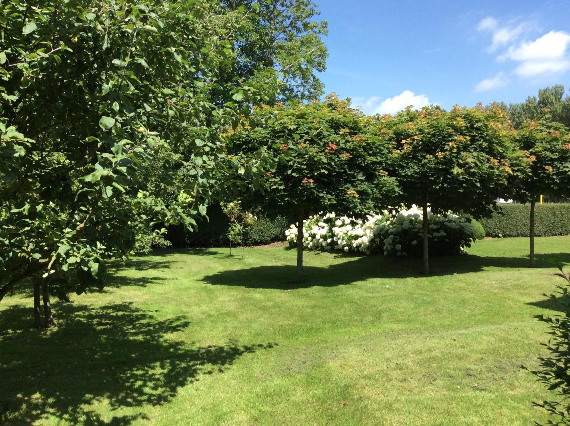 B&B De Tol Hulst Exterior foto