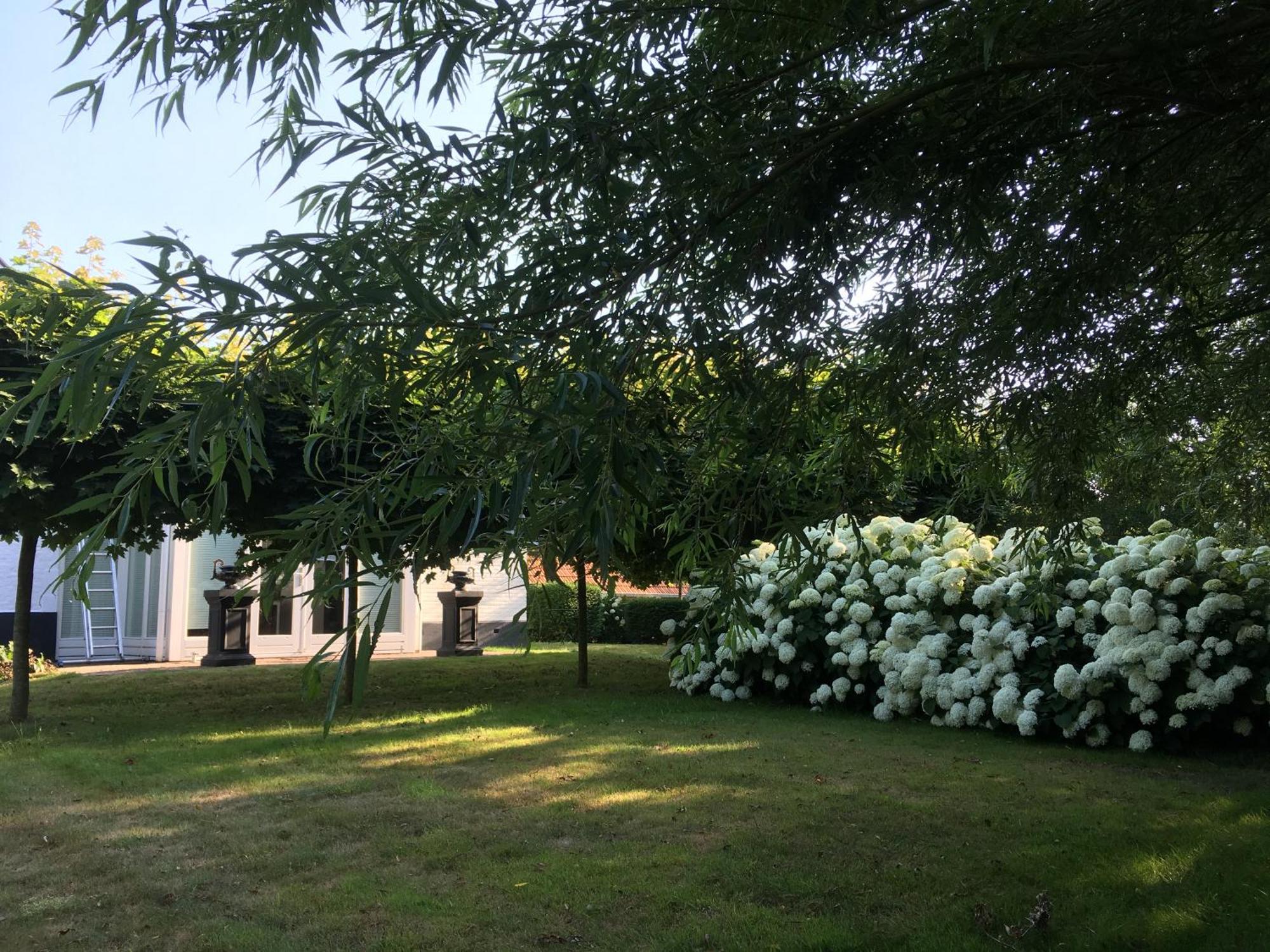 B&B De Tol Hulst Exterior foto